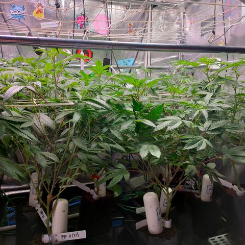 1 Gary growlog timeline photo