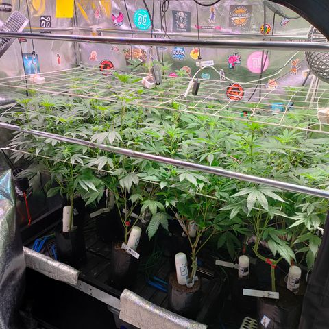 1 Gary growlog timeline photo