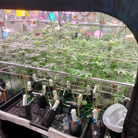 1 Gary growlog timeline photo