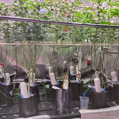 1 Gary growlog timeline photo