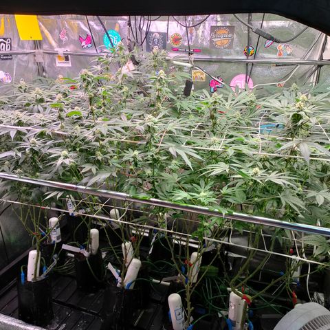 1 Gary growlog timeline photo