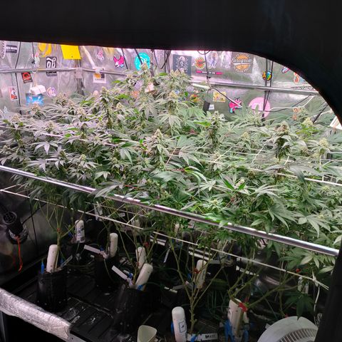 1 Gary growlog timeline photo