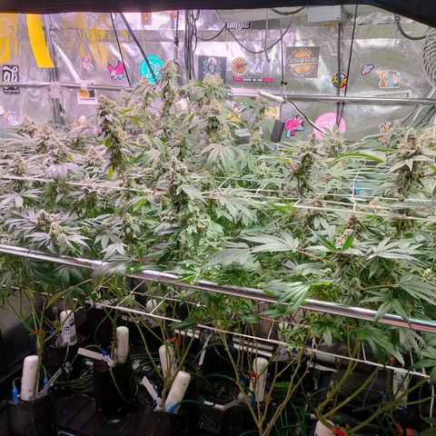 1 Gary growlog timeline photo