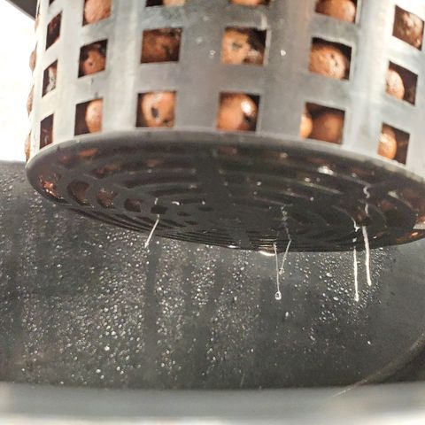 Delta growlog timeline photo