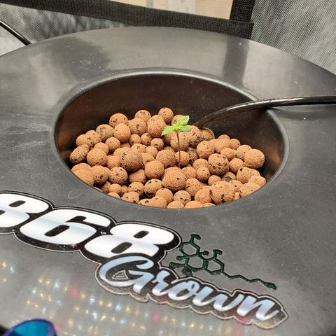 Echo growlog timeline photo