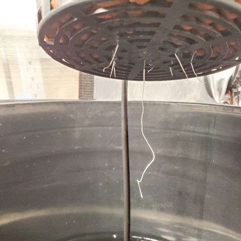 Echo growlog timeline photo