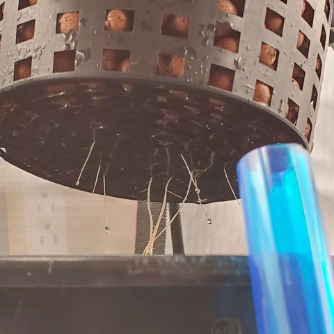 Echo growlog timeline photo