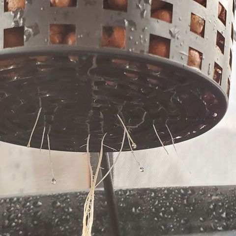Echo growlog timeline photo