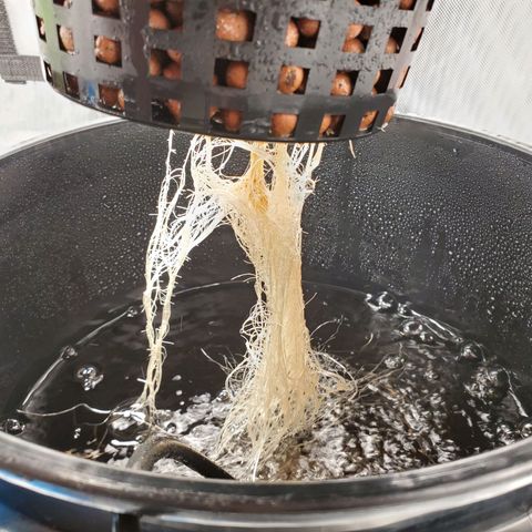 Echo growlog timeline photo