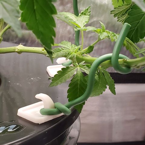 Delta growlog photo: Using command hooks as an anchor for soft wire ties during LST. 