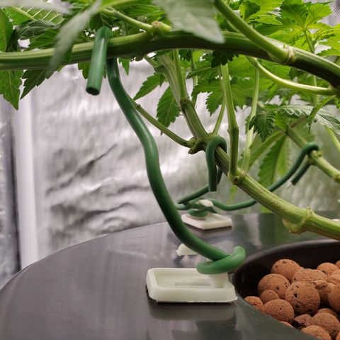 Delta growlog photo: Using command hooks as an anchor for soft wire ties during LST. 