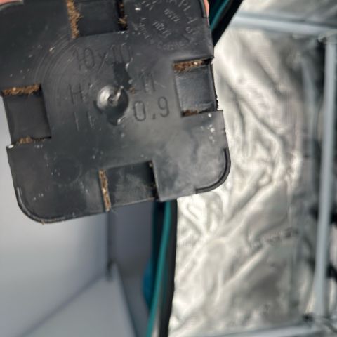 Blue Cheese growlog timeline photo