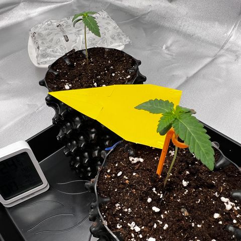 Luke Skywalker growlog timeline photo