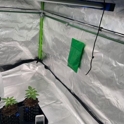 Luke Skywalker growlog timeline photo