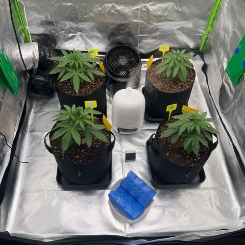 Luke Skywalker growlog timeline photo