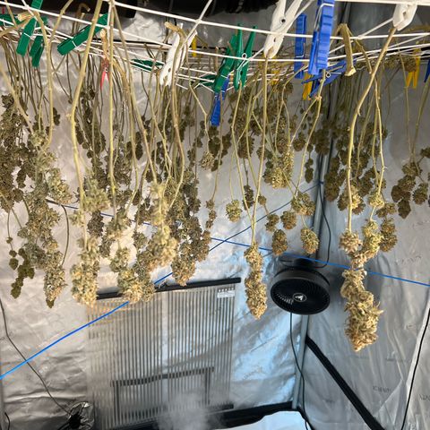 Luke Skywalker growlog timeline photo