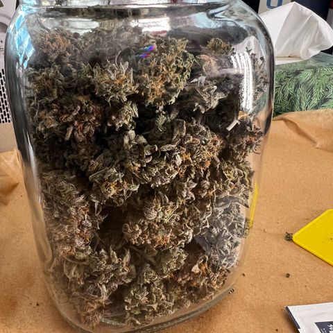 Luke Skywalker growlog timeline photo