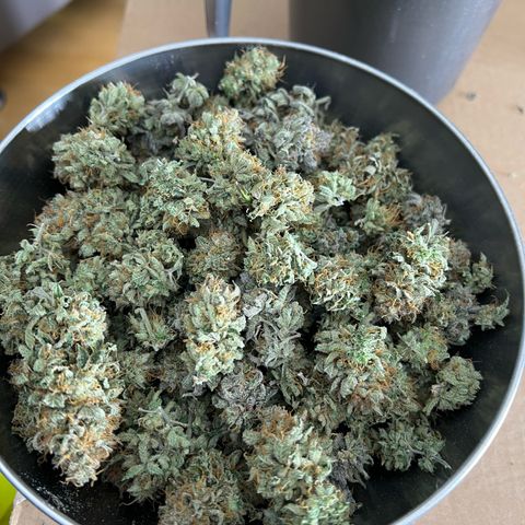 Luke Skywalker growlog timeline photo