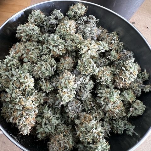 Luke Skywalker growlog timeline photo