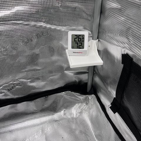 „Blue“ Ivy  growlog timeline photo