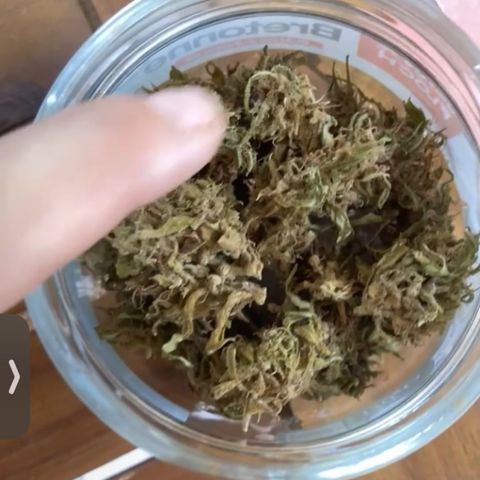 Big bud #1 growlog photo: Mis en bocal. Première récolte. Je suis contente du résultat pour un première essai avec le peu de moyen que j avais! Au top hâte de goûter 