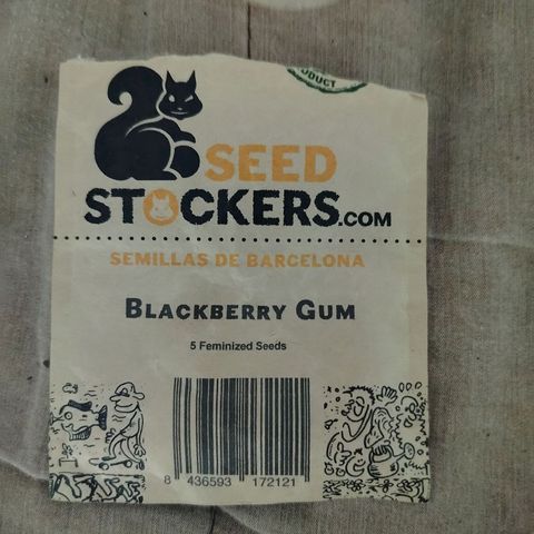 Blackberry Gum growlog photo