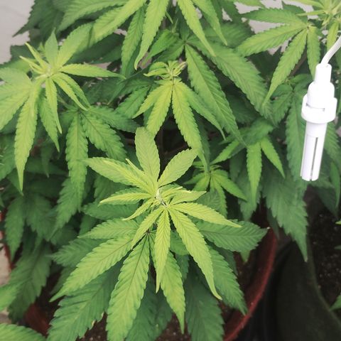 Bia growlog timeline photo