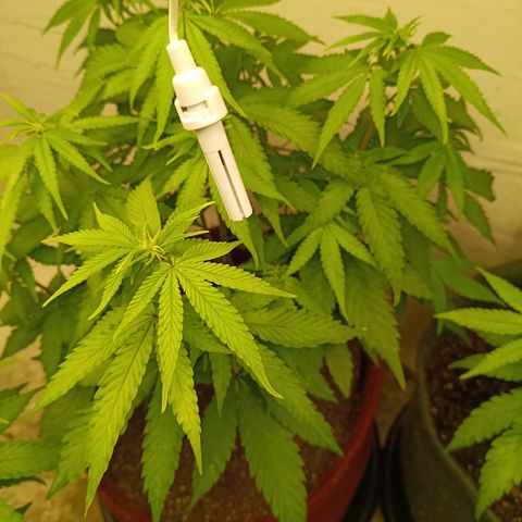 Bia growlog timeline photo