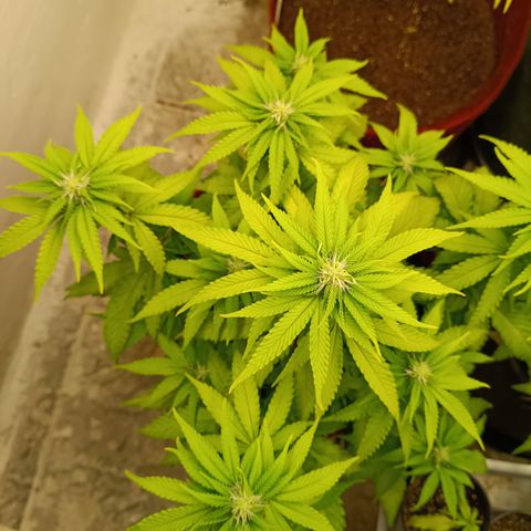 Bia growlog timeline photo