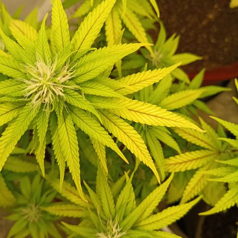 Bia growlog timeline photo