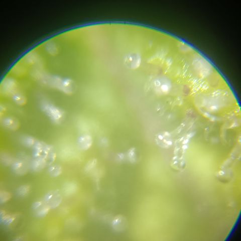 Bia growlog timeline photo