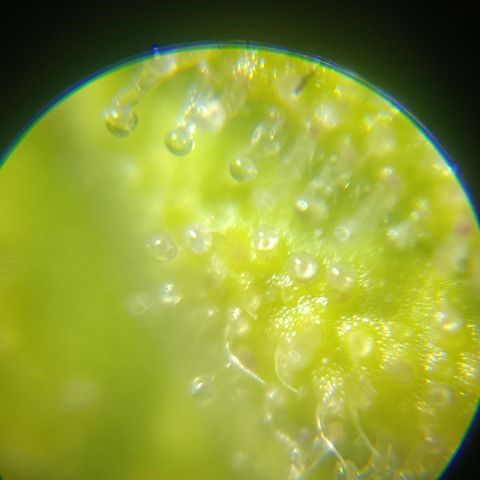 Bia growlog timeline photo