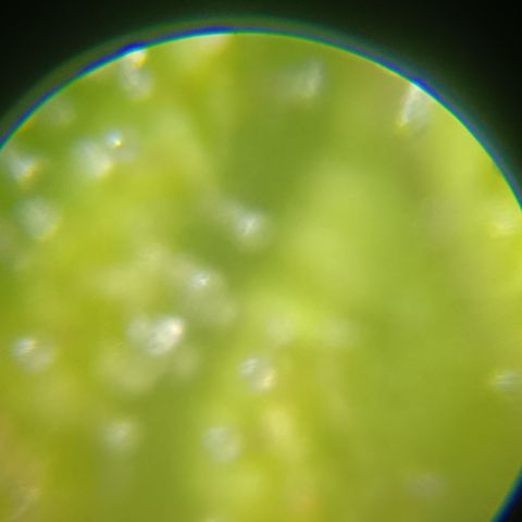 Bia growlog timeline photo