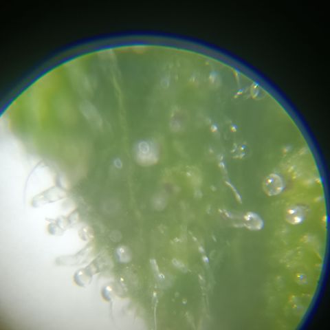 Bia growlog timeline photo