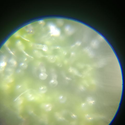 Bia growlog timeline photo