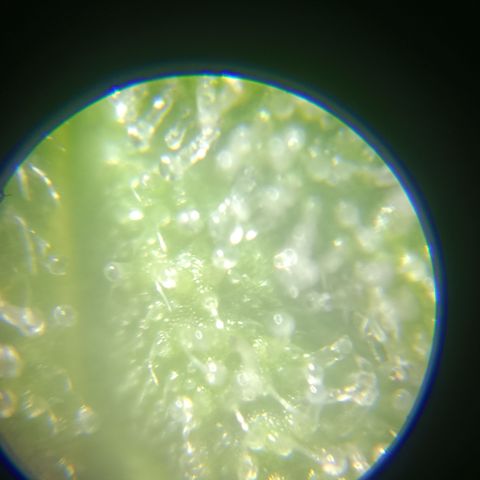 Bia growlog timeline photo
