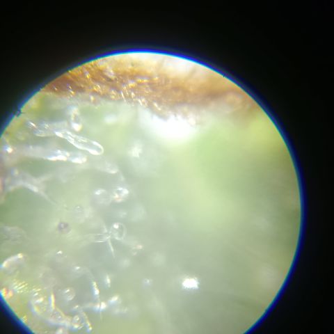 Bia growlog timeline photo