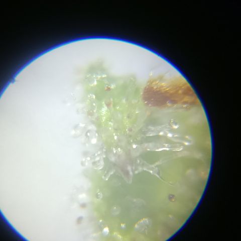 Bia growlog timeline photo