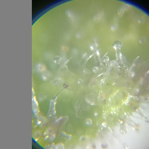 Bia growlog timeline photo