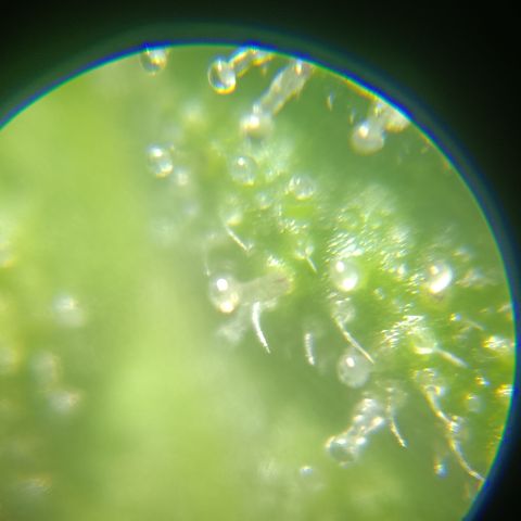 Bia growlog timeline photo