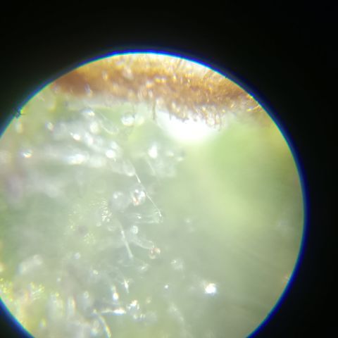 Bia growlog timeline photo
