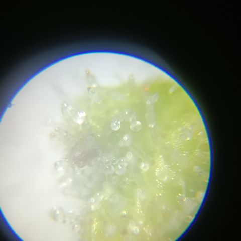 Bia growlog timeline photo