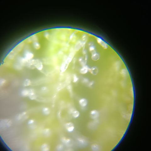 Bia growlog timeline photo