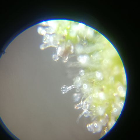 Bia growlog timeline photo