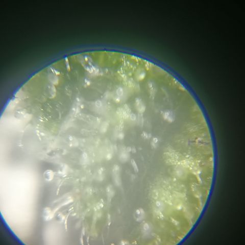Bia growlog timeline photo