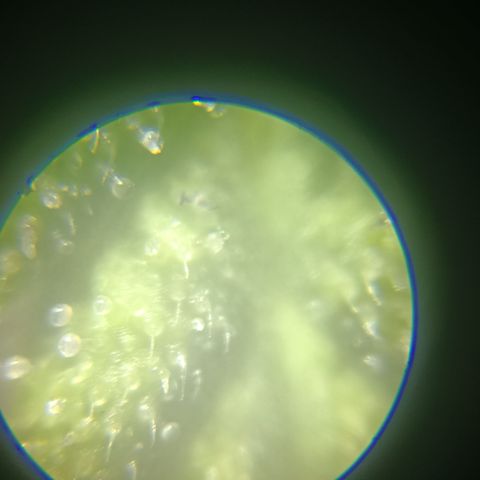 Bia growlog timeline photo