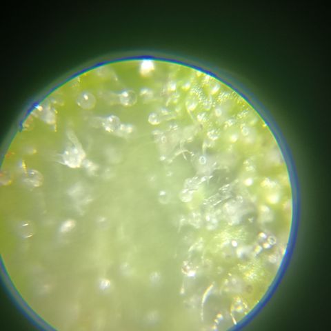 Bia growlog timeline photo