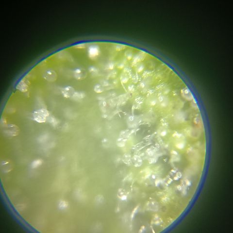 Bia growlog timeline photo