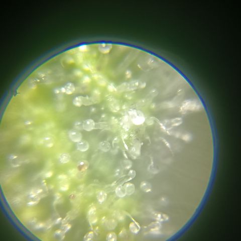 Bia growlog timeline photo