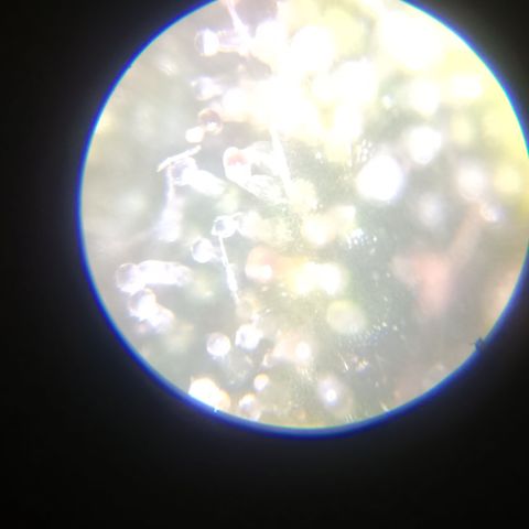 Elle growlog timeline photo